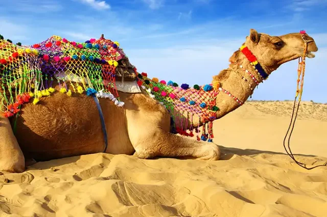 Grandeur Of Rajasthan