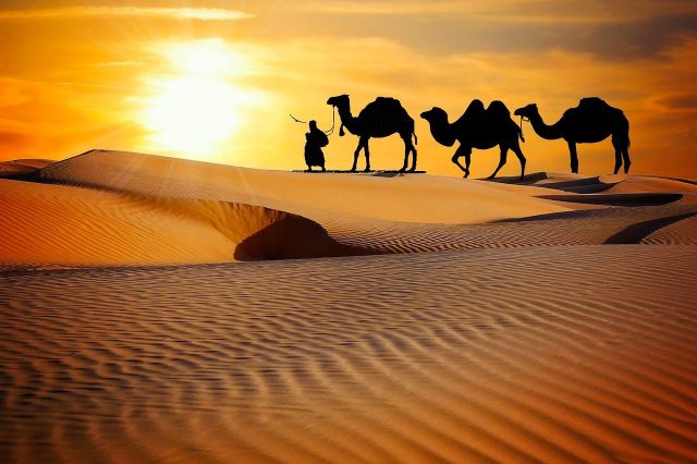 caravan-3341872_1280 (1)